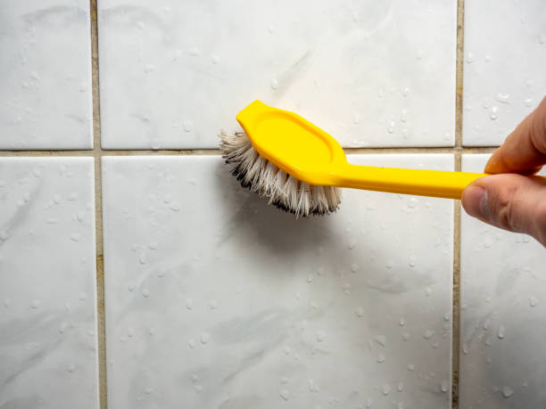Best Office Mold Removal Services  in Rosepine, LA