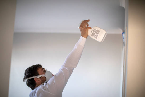 Best Toxic Mold Removal  in Rosepine, LA