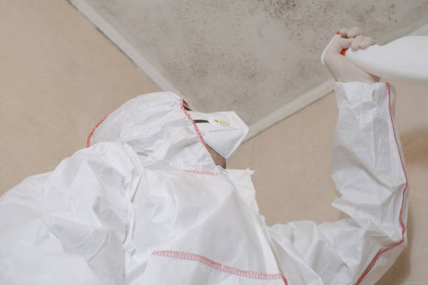 Best Commercial Mold Removal  in Rosepine, LA